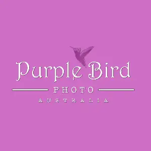 Purple Bird